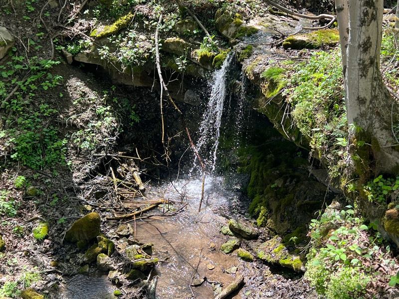 Kelly Hollow Rd, Allegheny County : Monongahela : Washington County : Pennsylvania
