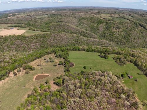 40 Acres in Tilly, Arkansas : Tilly : Searcy County : Arkansas
