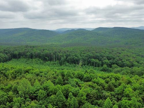 29 Acres In Catoosa County, GA : Ringgold : Catoosa County : Georgia