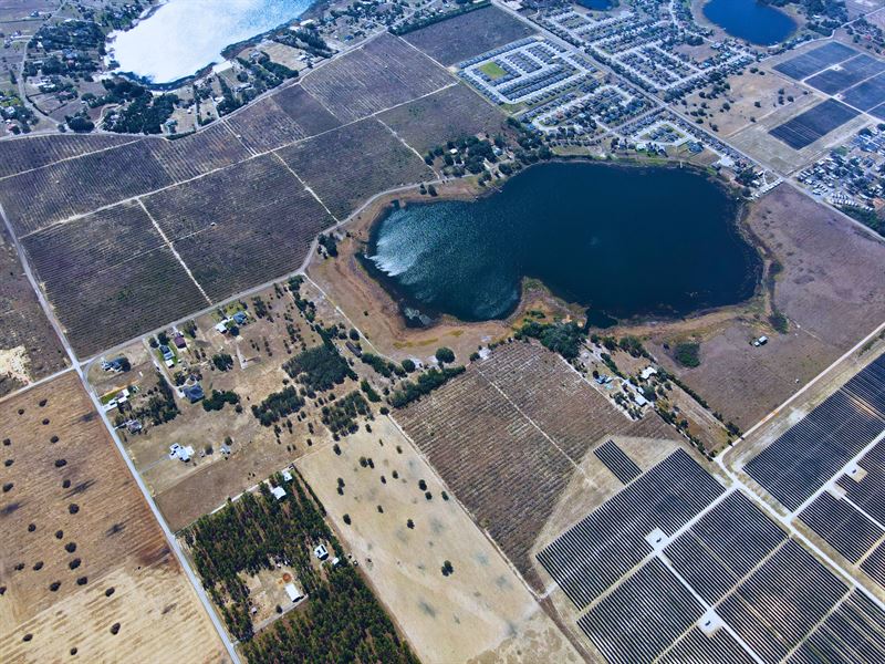 Shovel-Ready 55+ Mhc : Lake Wales : Polk County : Florida