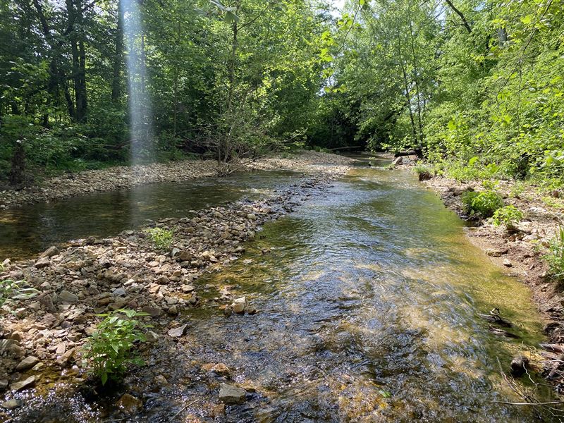 39+/- Ac in Tn, Creek, Hunting : Linden : Perry County : Tennessee