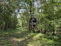 Hunter's Paradise : Terry : Hinds County : Mississippi