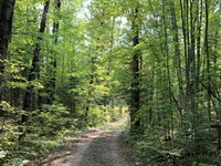 Amik Lake Acreage : Lac Du Flambeau : Vilas County : Wisconsin