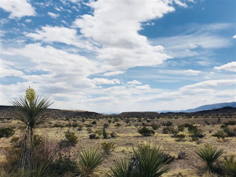 Texas 11 Ac, Make Offer, Cash Sale : Dell City : Hudspeth County : Texas