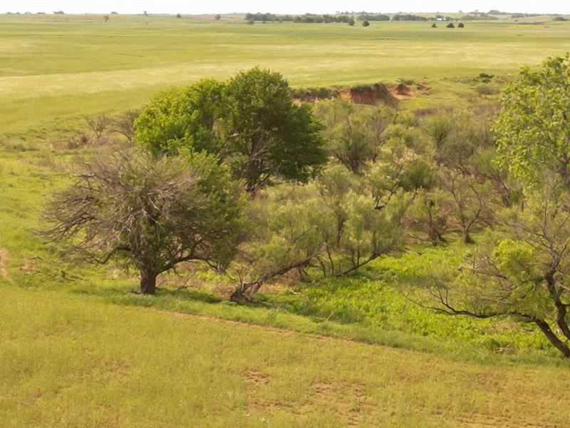 Van Osdol Farm : Jet : Alfalfa County : Oklahoma