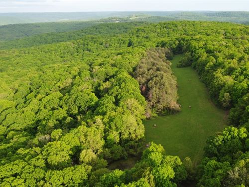 Low Gap 163 : West Fork : Washington County : Arkansas