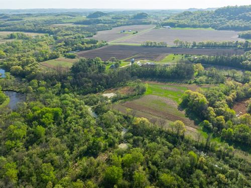 50 Acres Buffalo County : Mondovi : Buffalo County : Wisconsin