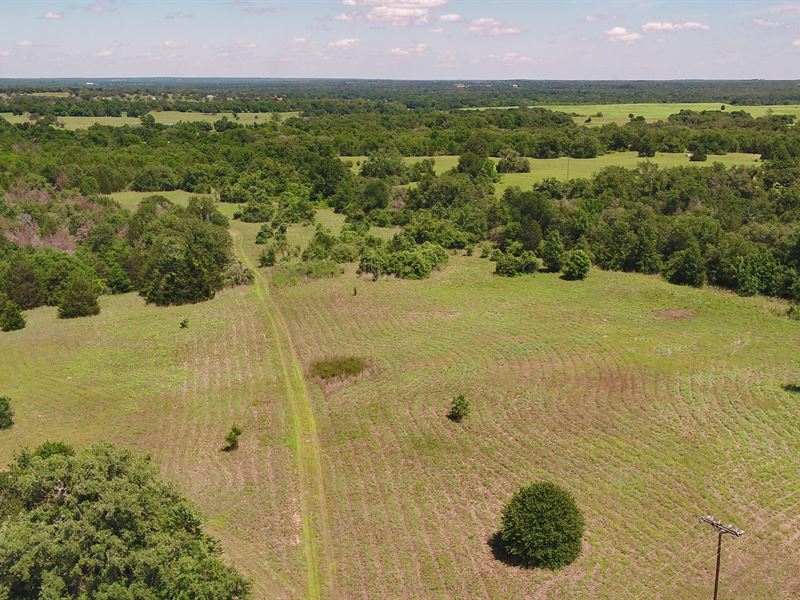 135 Acres in Milam County : Milano : Milam County : Texas