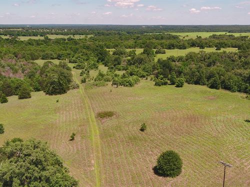 135 Acres in Milam County : Milano : Milam County : Texas