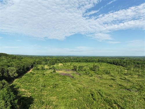 83.17 Acres in Greenbrier, AR : Greenbrier : Faulkner County : Arkansas