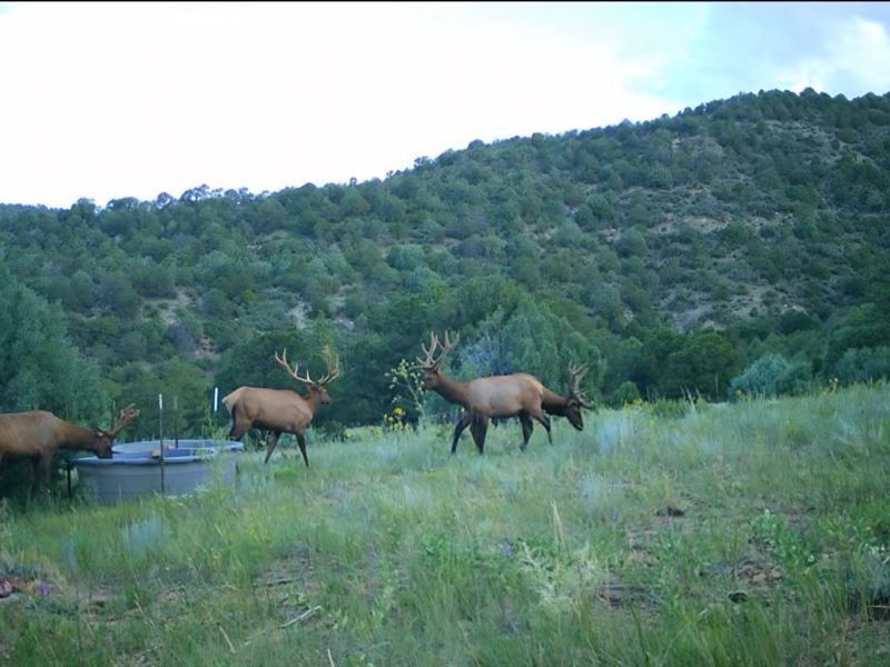 Picketwire 75 Blm Access : Trinidad : Las Animas County : Colorado
