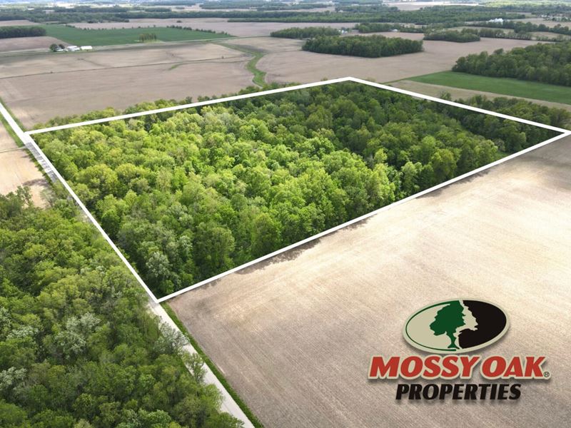 27.5 Acres / Blackford County : Montpelier : Blackford County : Indiana