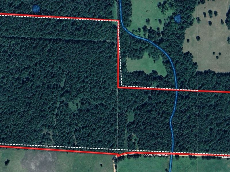 Hunting Land in Howell County MO : Koshkonong : Howell County : Missouri