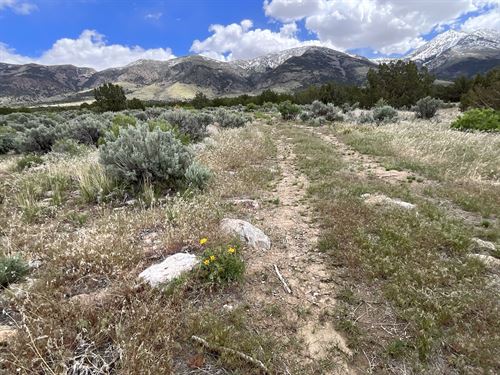 10 Acres, Nevada Beauty, $225/Mo : West Wendover : Elko County : Nevada