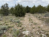 Escape, 10 Acre Retreat, $225/Mo : West Wendover : Elko County : Nevada