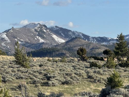 The Upper Deer Creek Ranch : Big Timber : Sweet Grass County : Montana