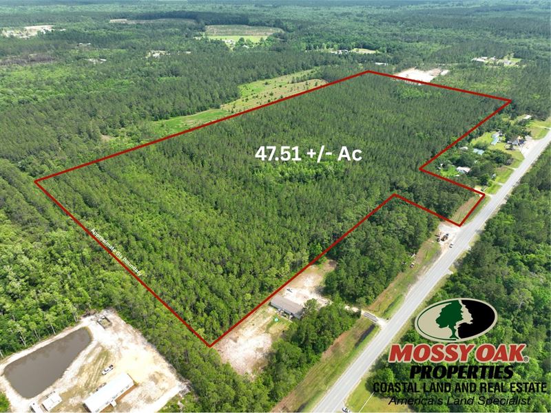 47.51 Ac Recreational Timberlan : Jesup : Wayne County : Georgia