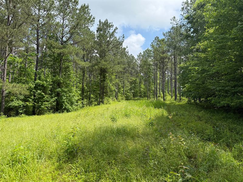 320 Ac Williams Place : Equality : Coosa County : Alabama