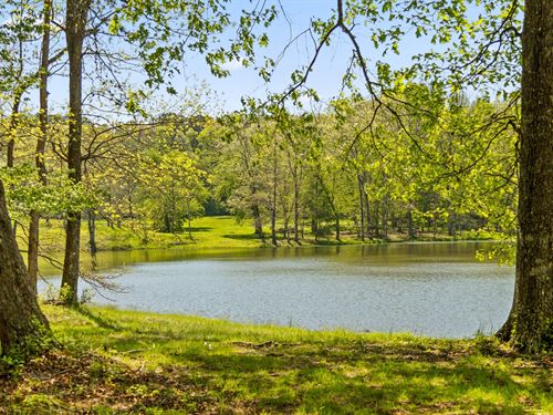 384 Acres in Conservation Easement : Tracy City : Grundy County : Tennessee