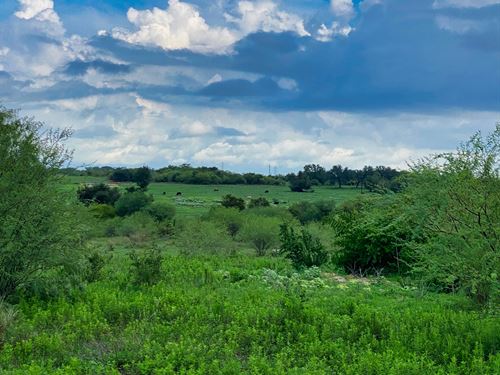 10.13 Acres Near Yorktown : Yokum : Gonzales County : Texas