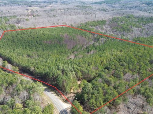 28 Acres in Haleyville, Alabama : Haleyville : Winston County : Alabama