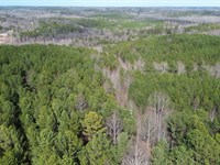 66 Acres in Haleyville, Alabama : Haleyville : Winston County : Alabama