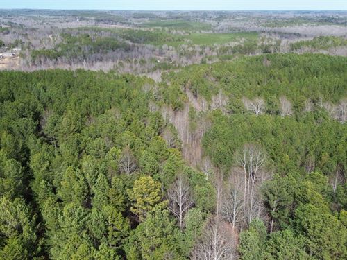 66 Acres in Haleyville, Alabama : Haleyville : Winston County : Alabama
