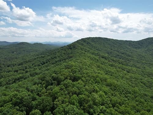 69 Acres, Union County, Georgia : Young Harris : Union County : Georgia