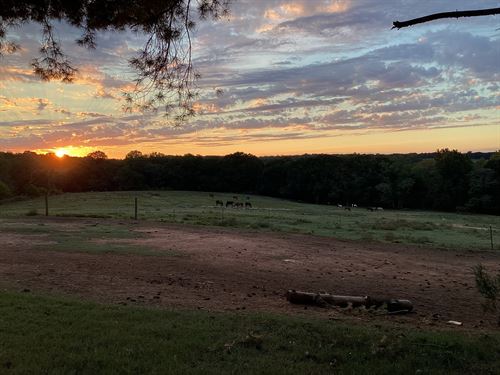 Broadway School Rd Farm & Homestead : Anderson : South Carolina