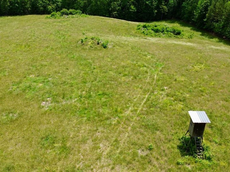 Attalla 120 Acre Farm : Attalla : Etowah County : Alabama