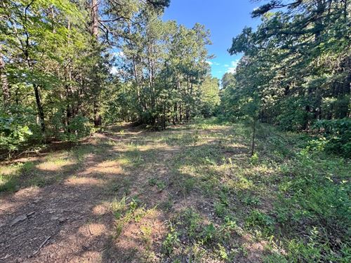 Rattlesnake 80 : Booneville : Logan County : Arkansas