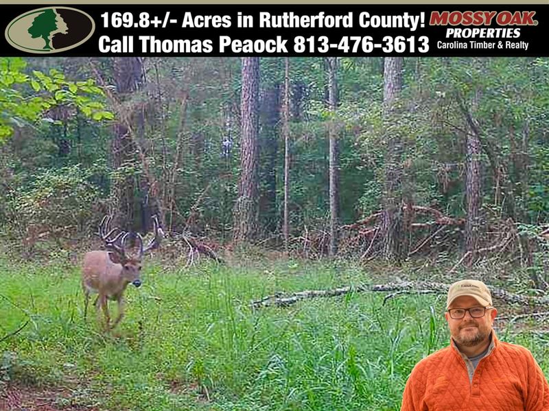 169.8 Ac Creekfront with Lake Acc : Union Mills : Rutherford County : North Carolina