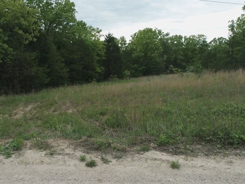 15 Acres Dead End Road Gainesville : Gainesville : Ozark County : Missouri