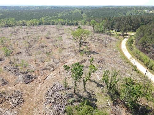 Hunting & Timberland Near Andalusia : Red Level : Covington County : Alabama