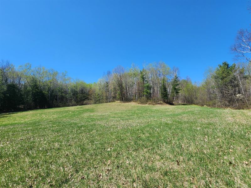 Prime Minocqua Acreage : Minocqua : Oneida County : Wisconsin