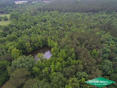 35.7 Ac, Timberland for Home Site : Spearsville : Union Parish : Louisiana