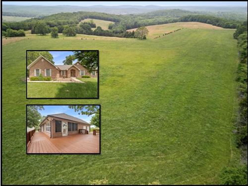 Southern Missouri Cattle Farm : Thornfield : Ozark County : Missouri