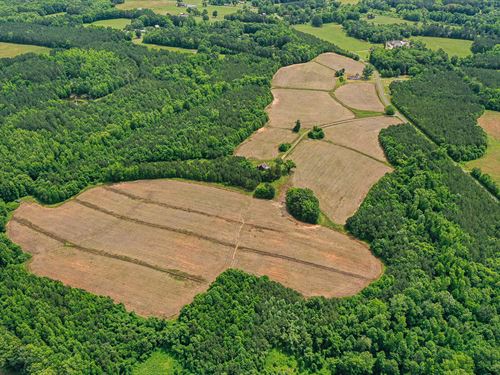 Hall Road Acreage : Rougemont : Durham County : North Carolina