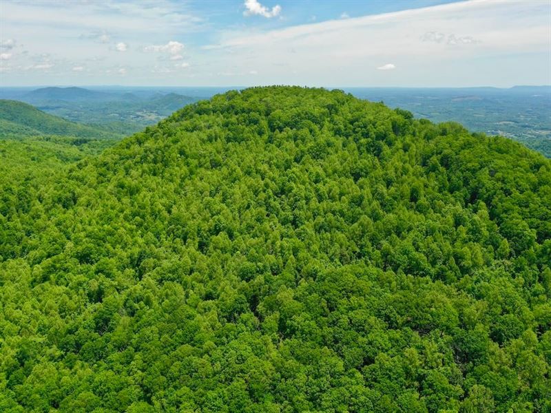 150.81 Acres of Scenic Mountain Lan : Vinton : Roanoke County : Virginia