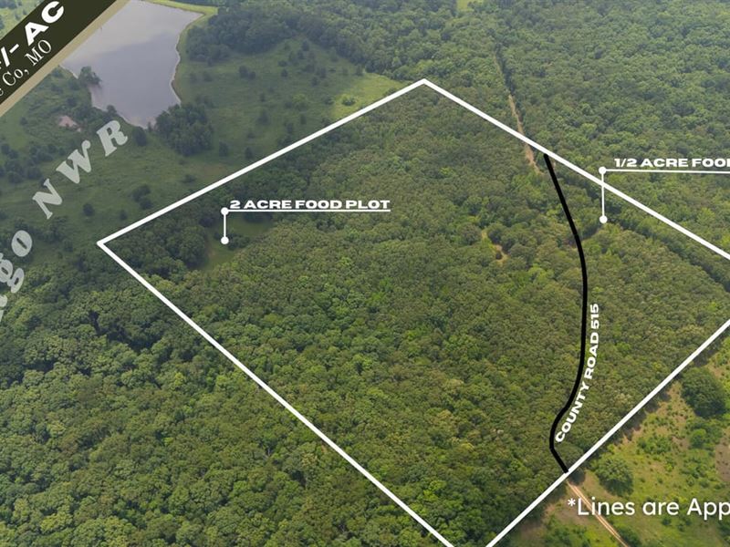 38 AC Farm for Sale in McGee, MO : McGee : Wayne County : Missouri