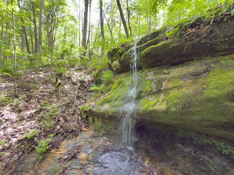 St Rt 374, 114 Acres, Hocking Cou : Rockbridge : Hocking County : Ohio