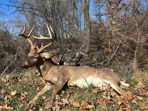 Timberland Paradise Camp, Hunt : Vicksburg : Warren County : Mississippi