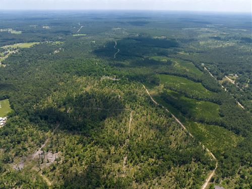 709 Acres, FM 355 : Trinity : Texas