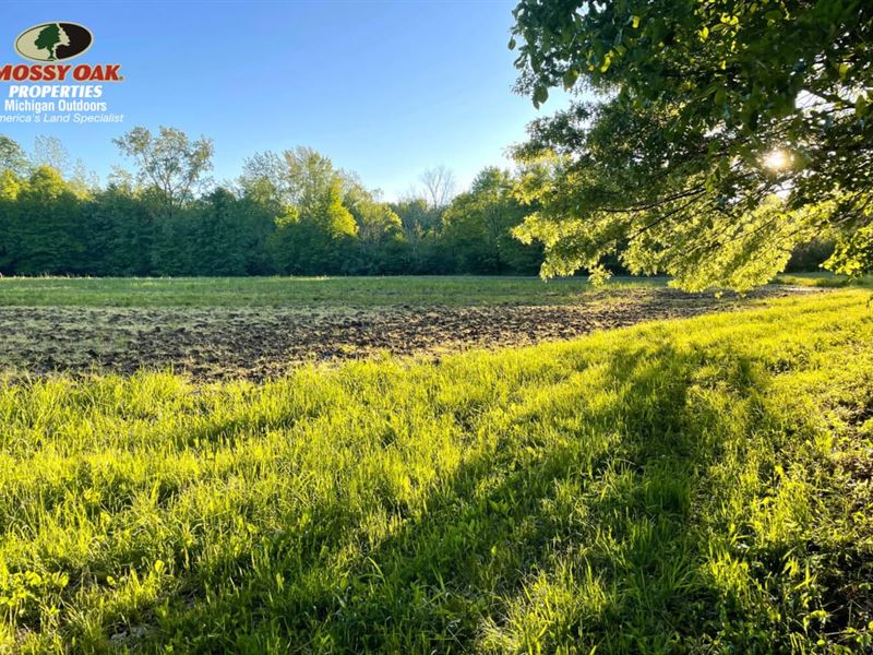 80 Acres / Bucks & Ducks / Van : Paw Paw : Van Buren County : Michigan