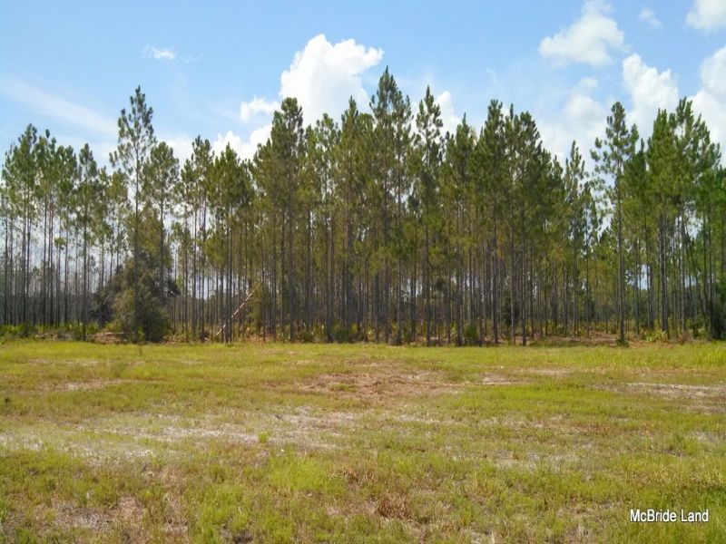 Gulf Hammock Paradise 32 Acres, Ranch for Sale in Florida, 39852