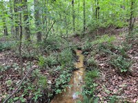 27 Acre Lake Country Homesite : Eatonton : Putnam County : Georgia