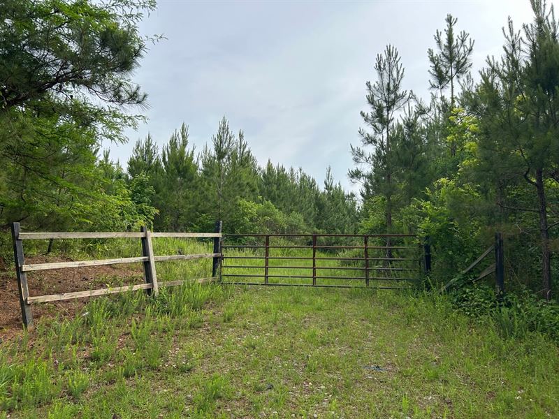 Hunting & Play in Your Backyard : Eatonton : Putnam County : Georgia