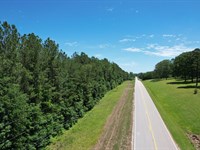 21 Acre Homesite Tract on Hwy 247 : Tuscumbia : Colbert County : Alabama