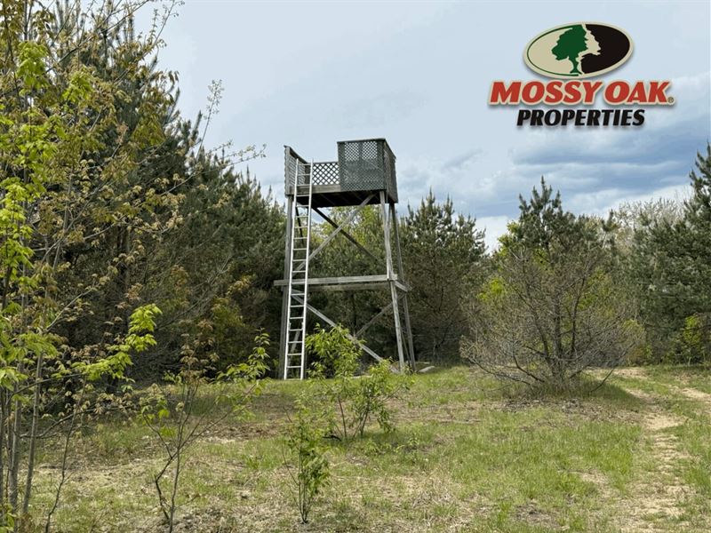 26 Acres Manton, MI / Missaukee : Manton : Missaukee County : Michigan