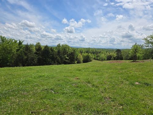 Fallen Tree 80 : Marshall : Searcy County : Arkansas